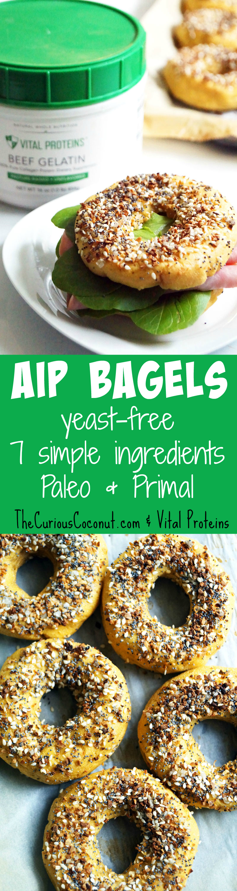 #AIP Bagel with Vital Proteins Gelatin - with 7 simple ingredients these are a breeze to make and a real treat on the autoimmune paleo protocol! // TheCuriousCoconut.com