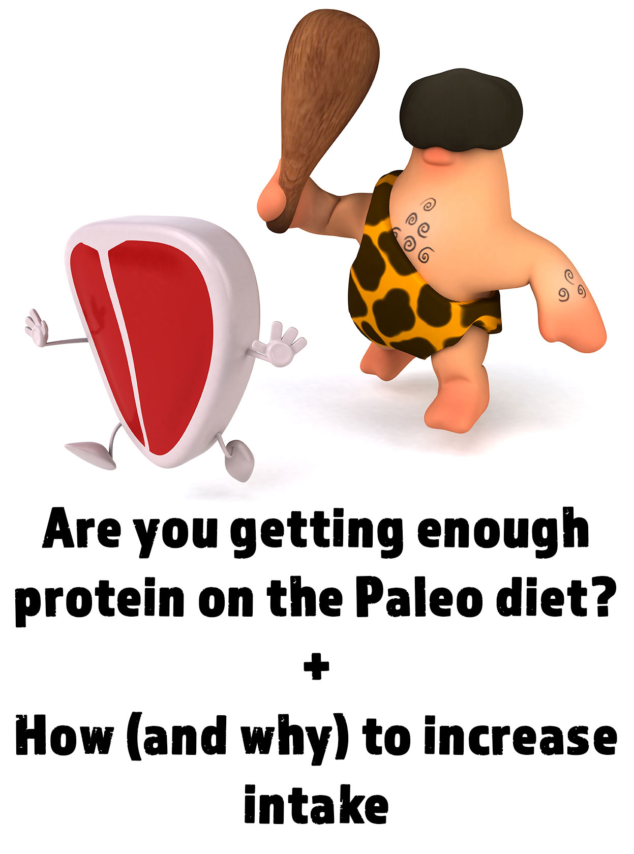 Are You Getting Enough Protein on Paleo? Plus How and Why To Increase Intake // TheCuriousCoconut.com