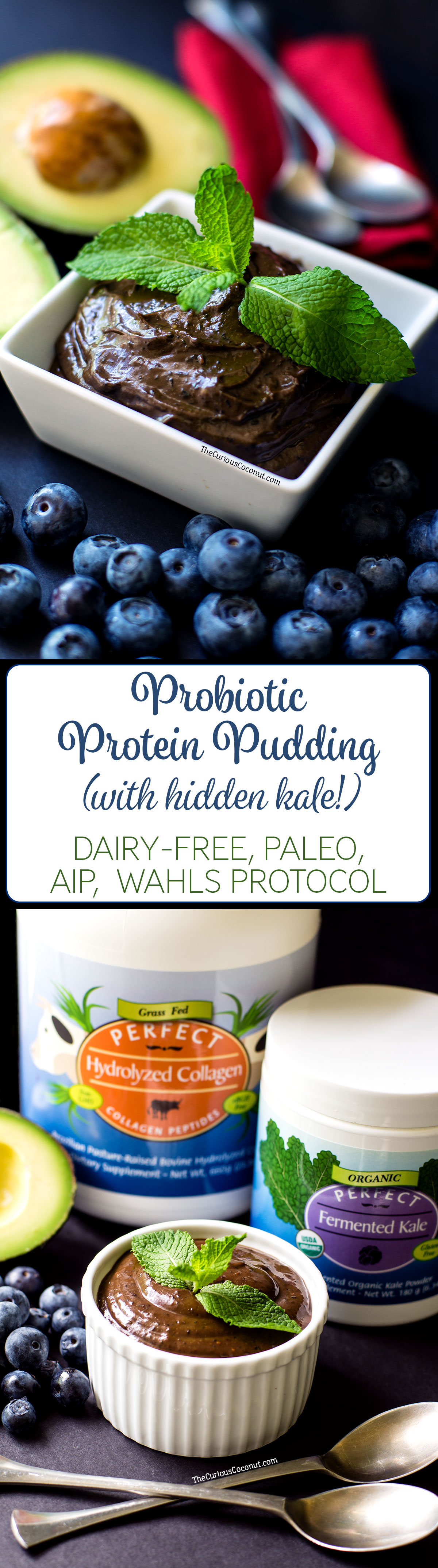 Probiotic Mint Chocolate Blueberry Avocado Pudding with hidden kale // (Paleo, AIP option, Gluten-free, Egg-free, Dairy-Free)// TheCuriousCoconut.com